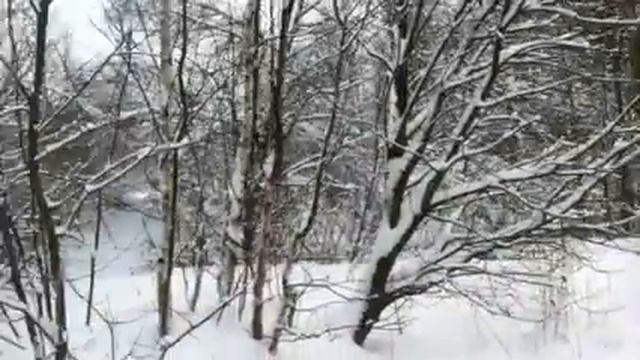 Покатушки 24.12.11