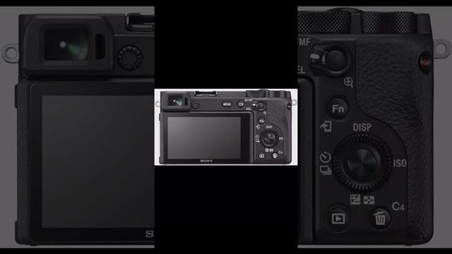 Sony Alpha A6600 #short #shortvideo #youtubeshort