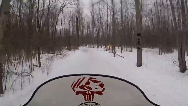 Polaris RMK 800