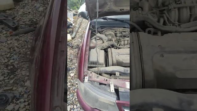 Декабря Нексия В Разборе Двигатель 1,6 16клап.