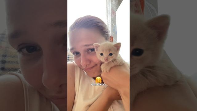 Shiiikunova - осознала главное 🙌🏻 Мордовочка ❤️ Трилогия и любви к деревне 🙌🏻 #shorts