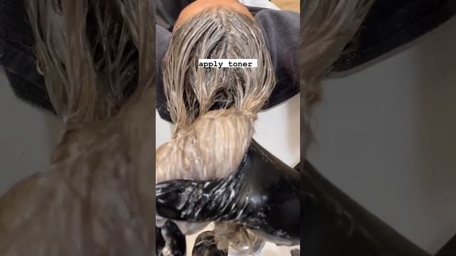 The Art of Pre-toning ? Pallure G.O.A.T. Blonde Shampoo