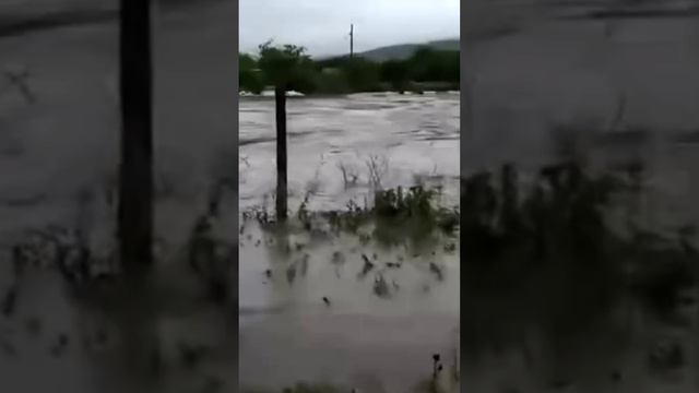 Паводок в Армении спровоцировал мощные потоки воды