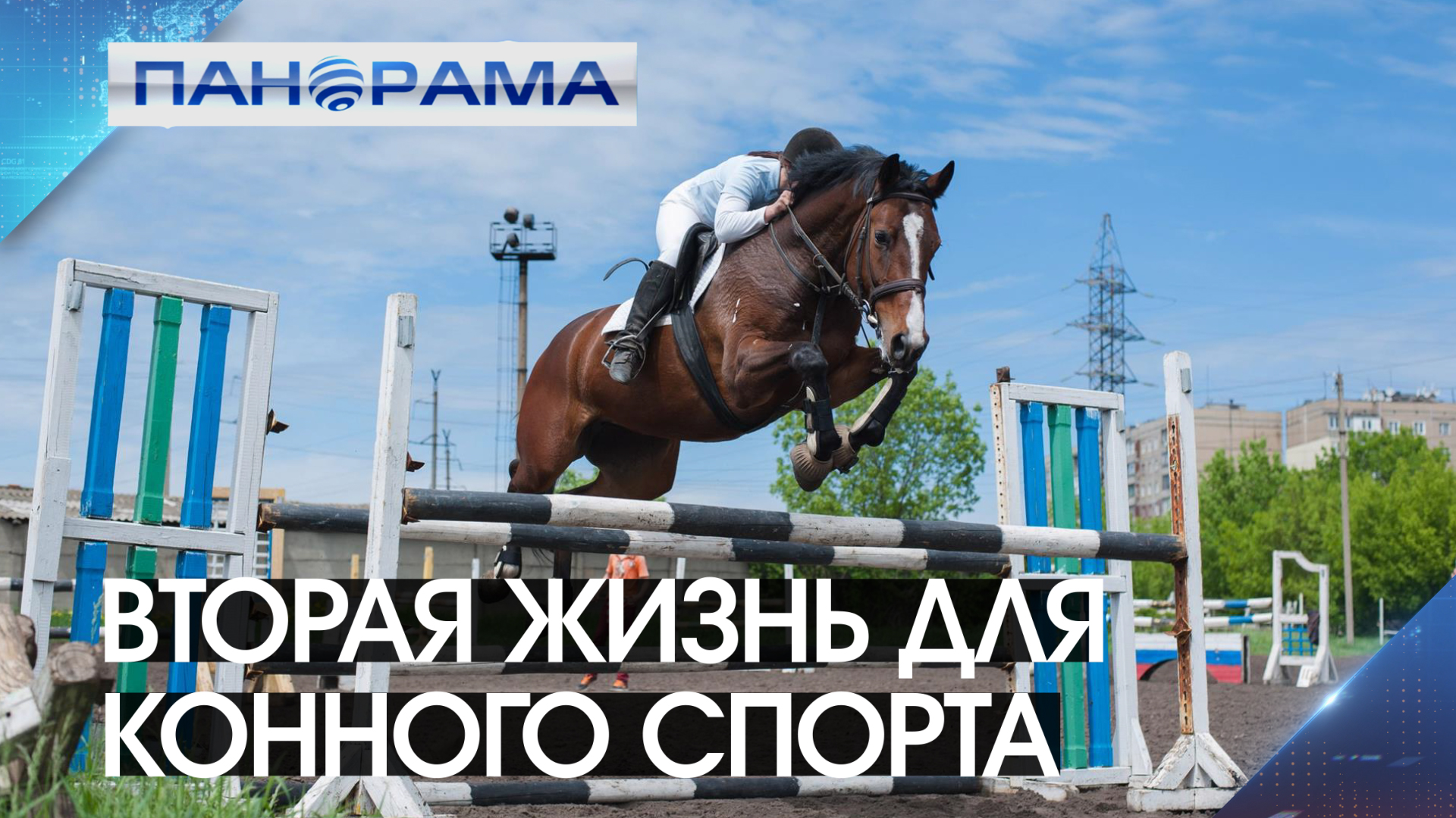 Расцвет конного спорта в Республике! Кто взялся за восстановление спортивной школы в Макеевке?