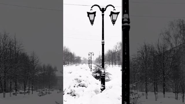 Снежный Павловский Прсад