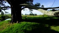 Return to the Shire - Play On in New Zealand! in 4K!