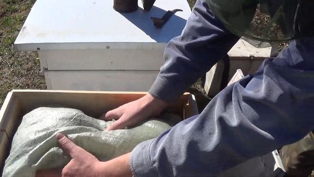 Боковая вентиляция весной лучше.