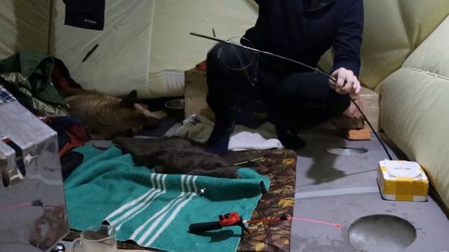 Оз. Чаны Рыбалка в Феврале в -38 Остров Заячий рыбалкаскомфортом