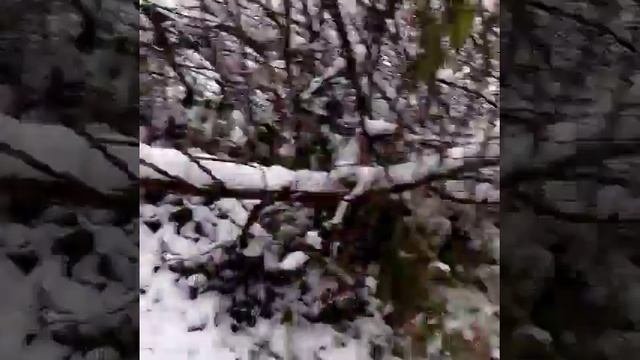 ВАУ! Какой классный шалаш мы нашли!) ?