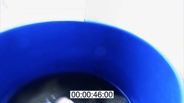 Как вырастить большого и сильного ГОМУНКУЛА Homunculus