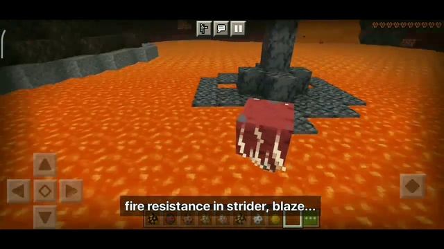 Morph Addon for minecraft pe/bedrock 1.19+ | Mob Hider | Mod MCPE