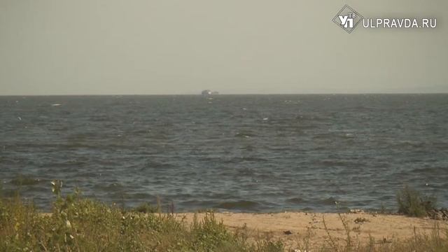 Деревья изучить, контр-банкет укрепить. Почему парк «Приморский» скрылся в зарослях речного порта