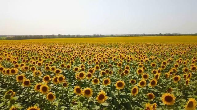 Желая избавиться от спиногрызки, мачеха заперла малютку в гнилом доме. Нашли ее уже не одну