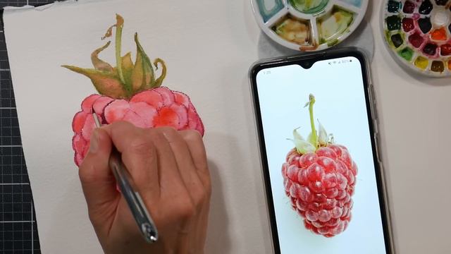 How To Draw and Paint a Raspberry Real-Time Tutorial