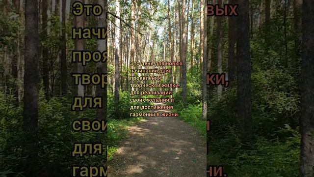 лунный календарь 15.08.24 #лунныйкалендарь #астропрогнознакаждыйдень #астрология #лунныедни