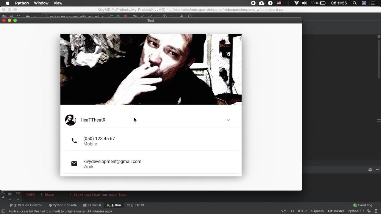 Components Expansion Panel and MDCard