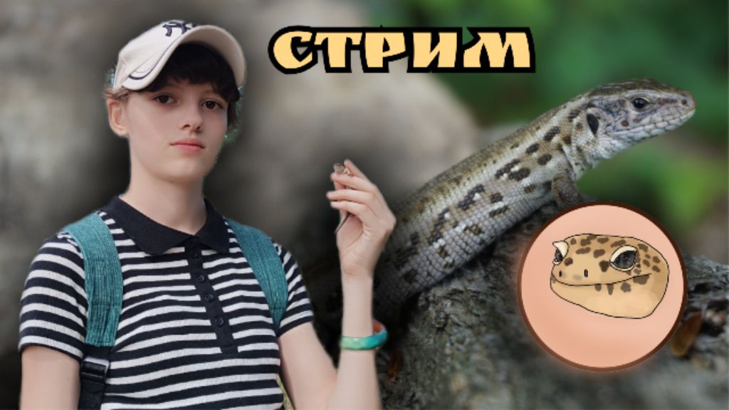 СТРИМ С УЛИЦЫ ❗