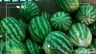 3 сентября Санкт-Петербург дожди обуна булинг лайк босинг дустлар