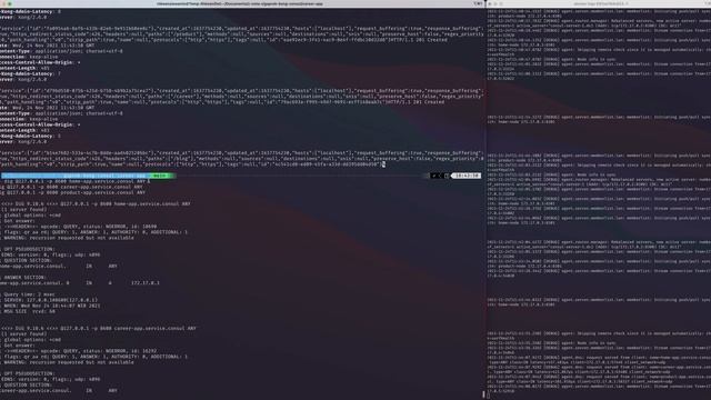 [GAPREK] Devops Engineer - Kong and Consul #2