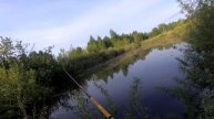 Вы не там ловите рыбу рыбаки!