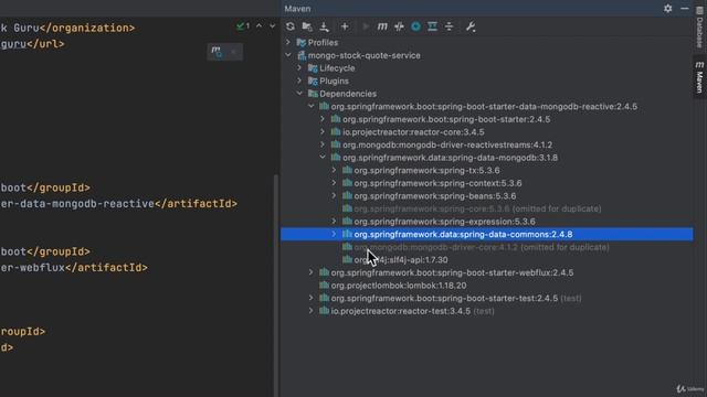 71 Initial Project Review
