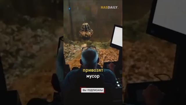 Развлечение в мусорке