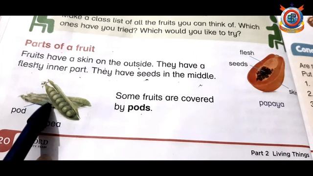 Class Two Science Unit;3 Plants & Their Parts Lecture # 14 Parts of a Fruit