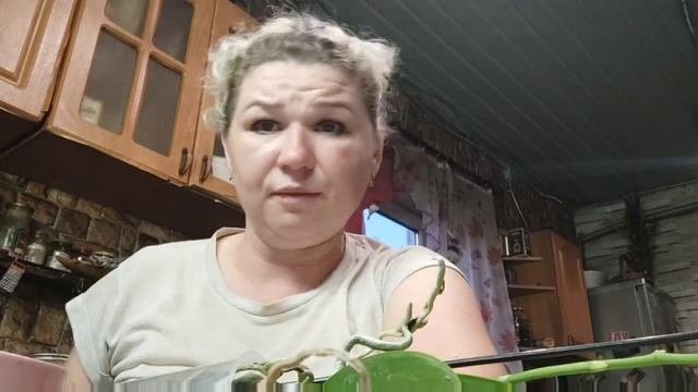 Посетили Минск сити накупили ВО чего?
