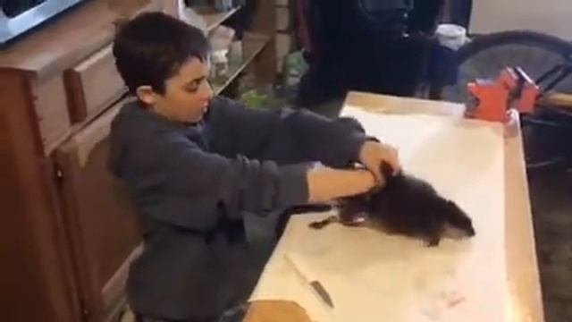 Wilderness Boy - How to Skin a Muskrat