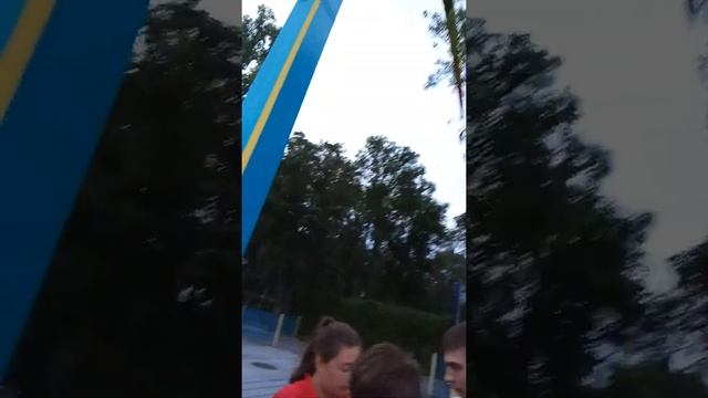 Парк Санкт-Петербург Крестовский остров