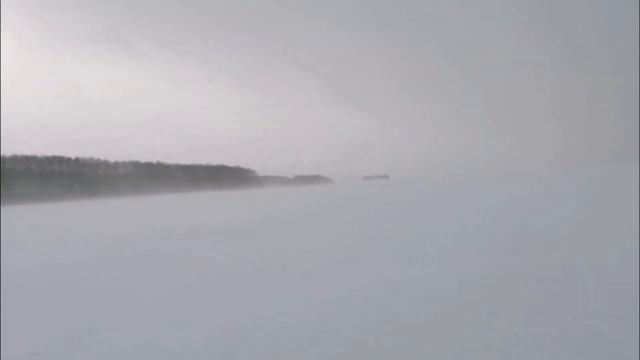 Весенняя охота на гуся/Подготовка к охоте /Делаем скрадок .