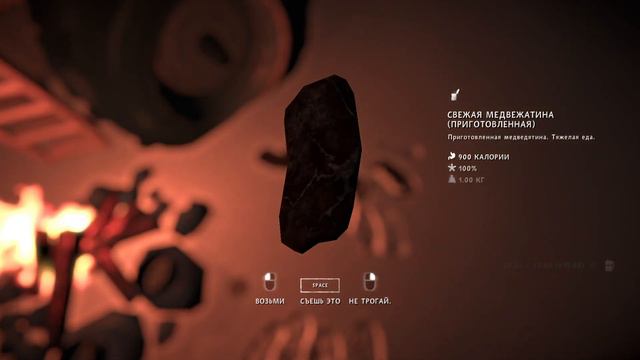 The long dark - Персонализация