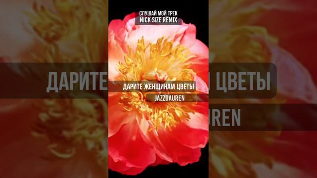 Jazzdauren - Дарите Женщинам Цветы (Nick Size Remix)