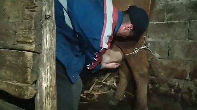 Молоко из Буджакских степей