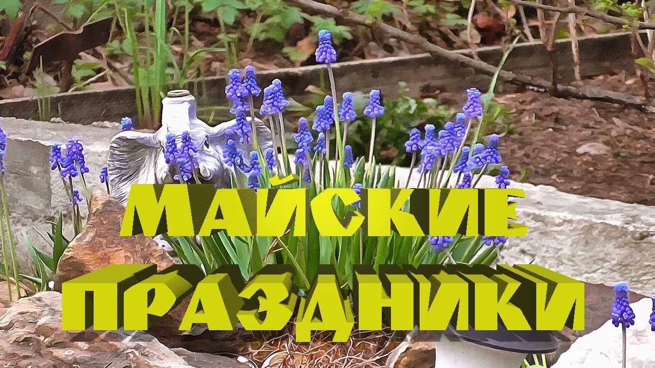 Майские праздники #6