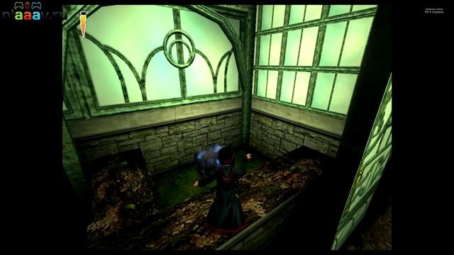 Потный Гарри и философский камень - 2