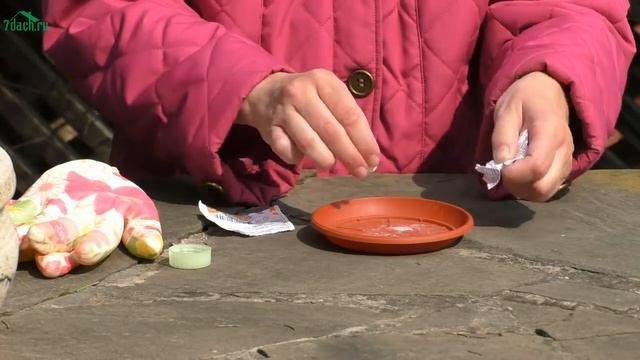 ? Как защитить сад от заморозков и резкой смены погоды - 7 дач