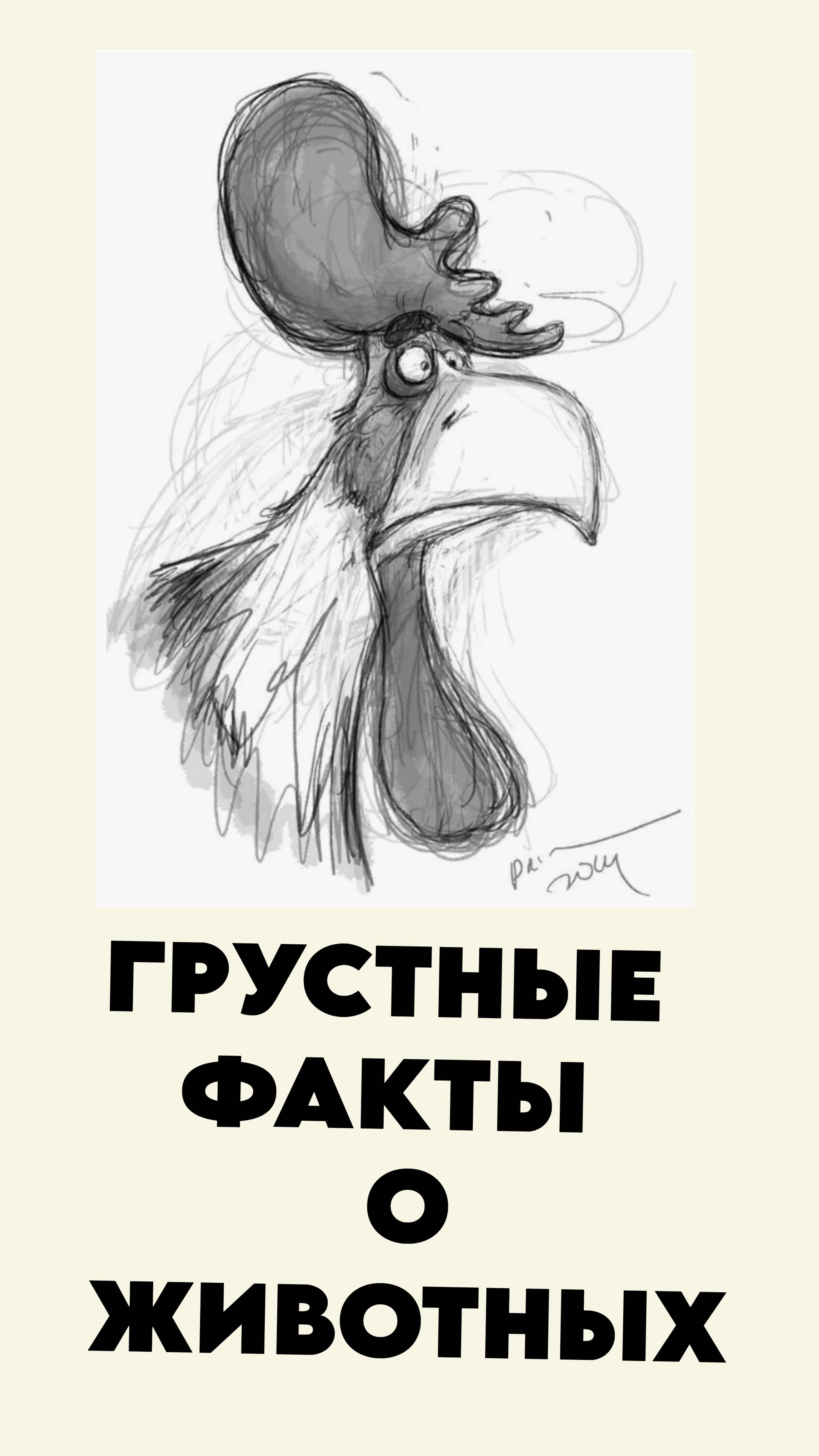 Грустные факты о животных 9