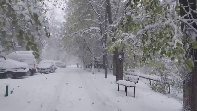 Молдова.Кишинёв, что творится у нас в городе.26.11.23