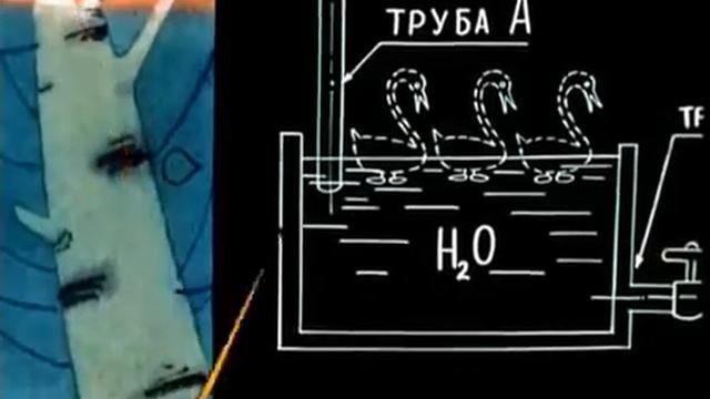 Вовка в тридевятом царстве  online video cutter com 6