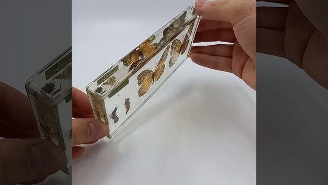 Коллекция "Развитие бабочки" (акрил) Видео 2