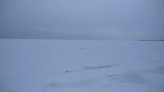 Конец года! Вот и зима пришла!