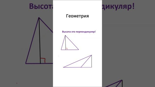 🎯 Больше никакой путаницы! Узнай, как легко отличить биссектрису, медиану и высоту!