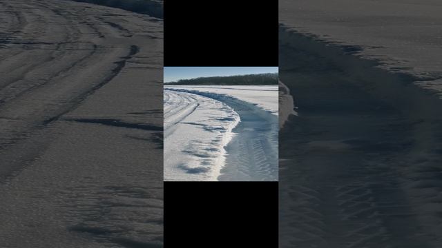 Зима и 🐶 собака-барабака.