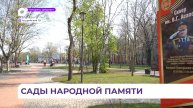«Сад памяти» появился в сквере имени Валерия Асапова в Уссурийске