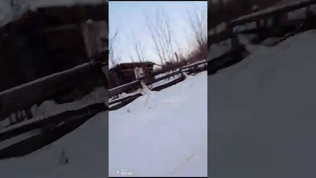 каникулы в деревне