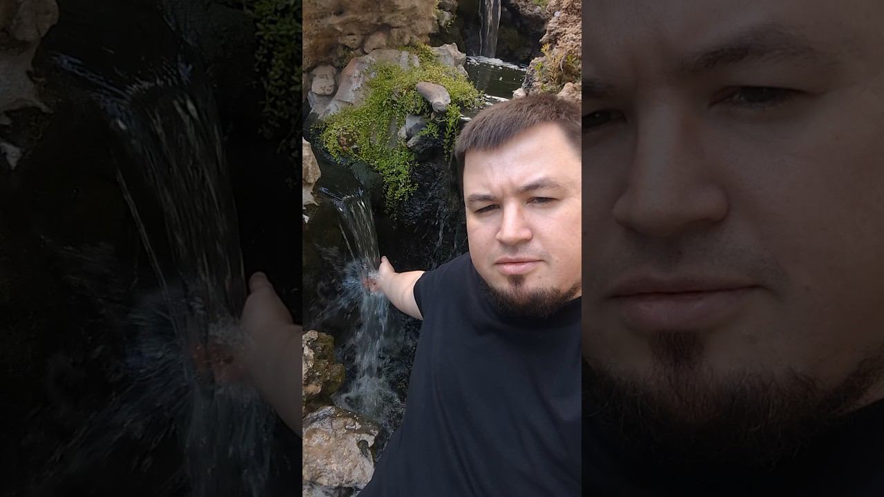 Парк Лога кайф #shorts #nature