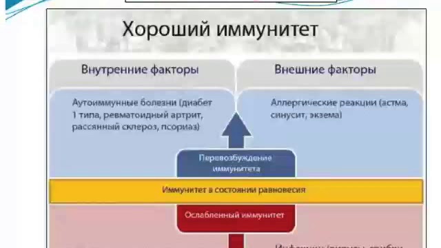 Иммунитет и Аллергия