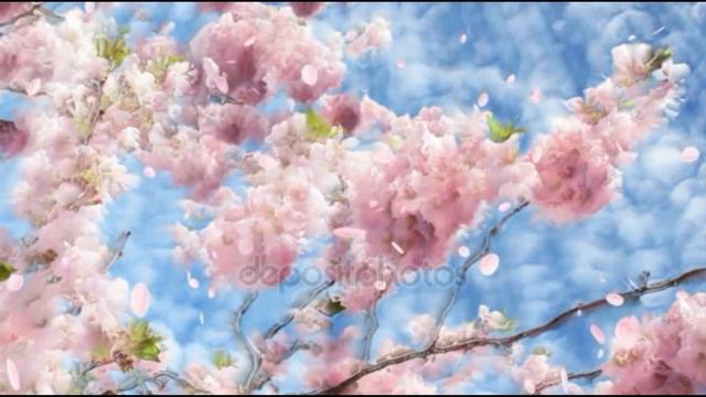 Благословение и любовь  с Небес ! Принимайте !  Blessings from the Heavens!!!