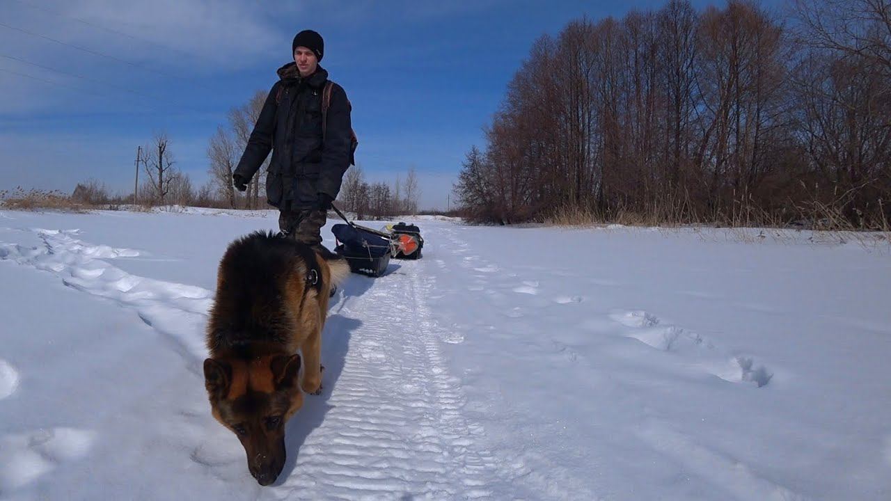 На Зимнюю Рыбалку! Ждали рыбу, а пришел ерш!